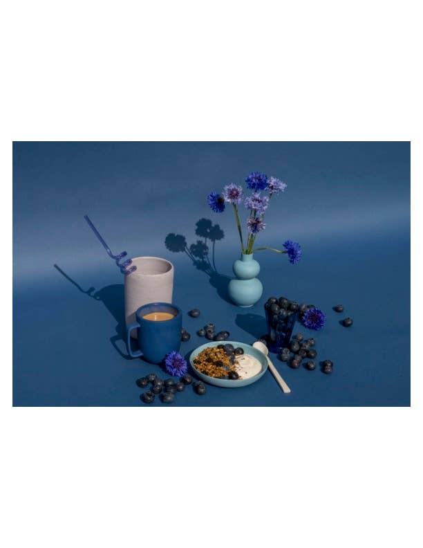 Blueberry & Sunflower Butter Granola (8oz)