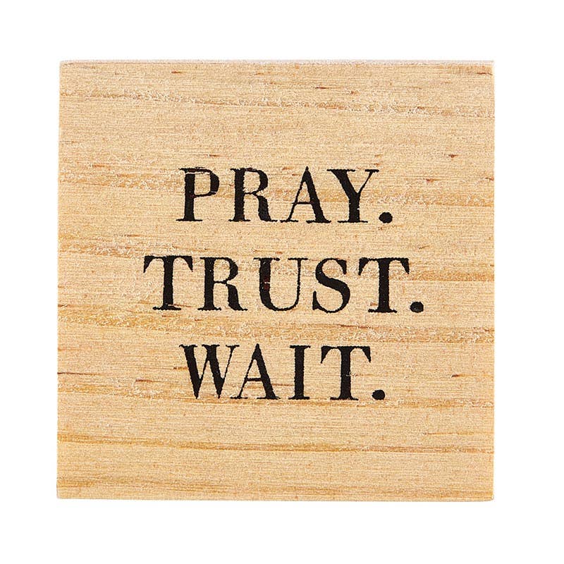 Treasure Box Earrings - Pray. Trust. Wait.