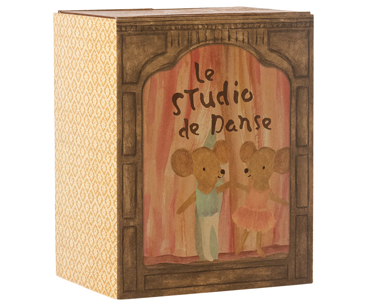 Ballet Mice in Dance Studio