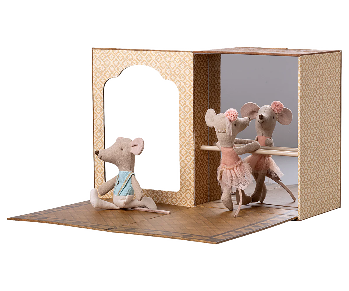 Ballet Mice in Dance Studio