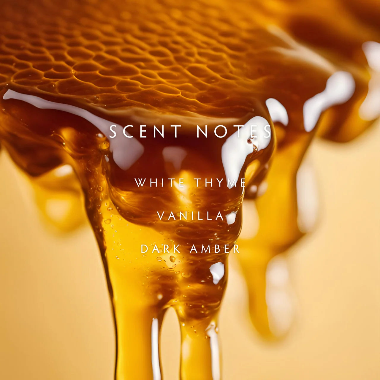 Linnea Gilded Honey 2-wick Candle
