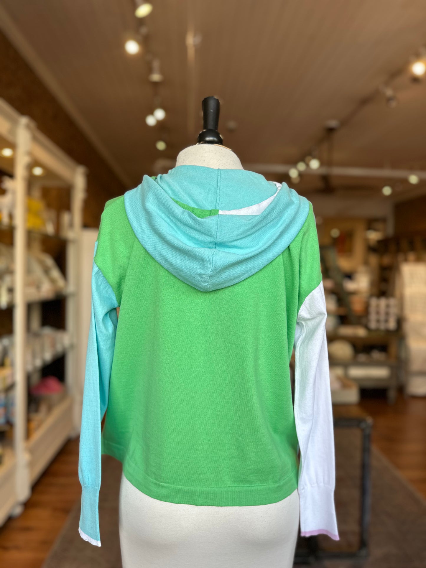 Color Block Hoodie in Apple