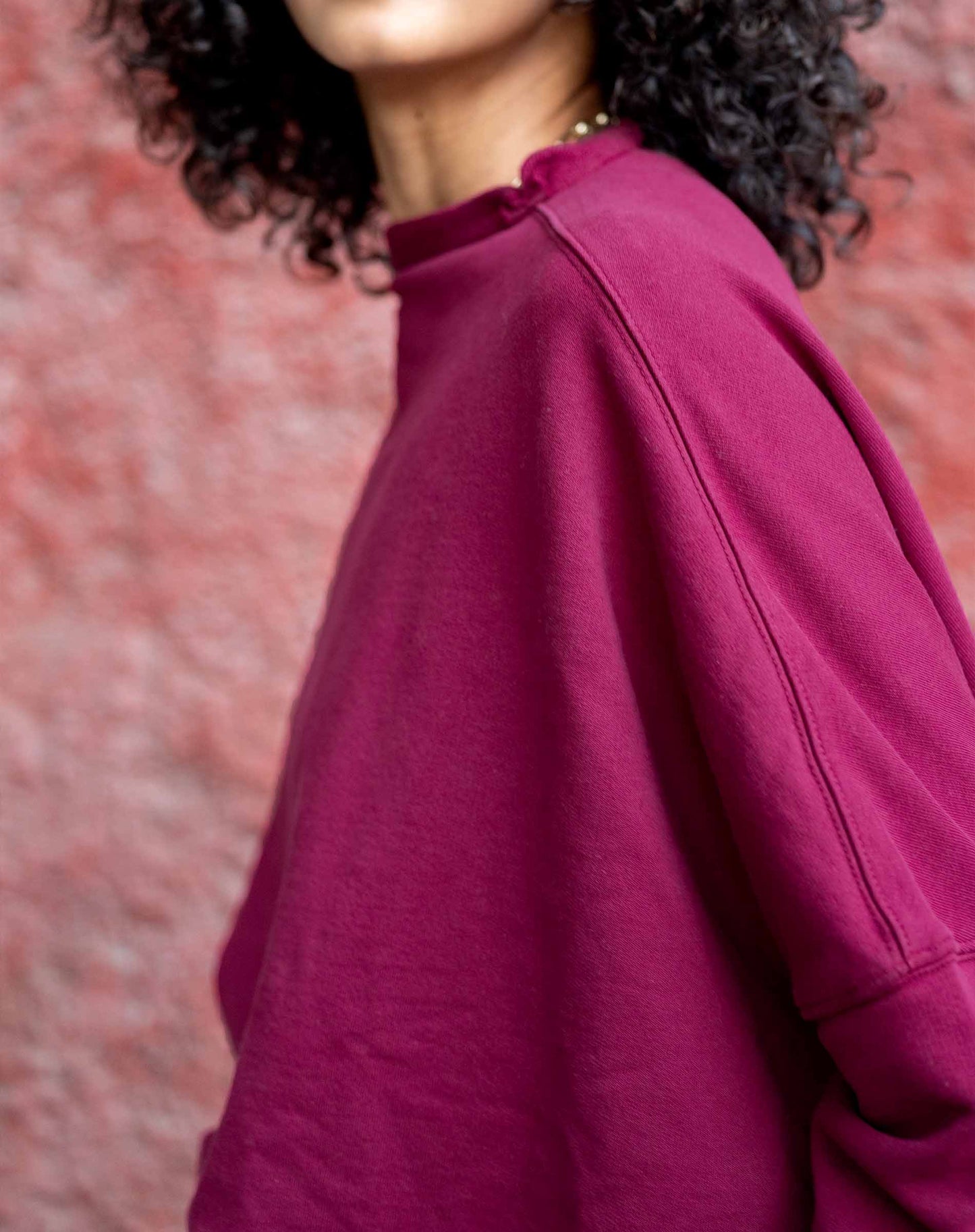 Frenchie Mock Neck Sweatshirt in Winterberry