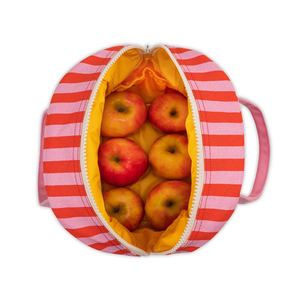 Zipper Lunch Bag - Awning Stripe Pink