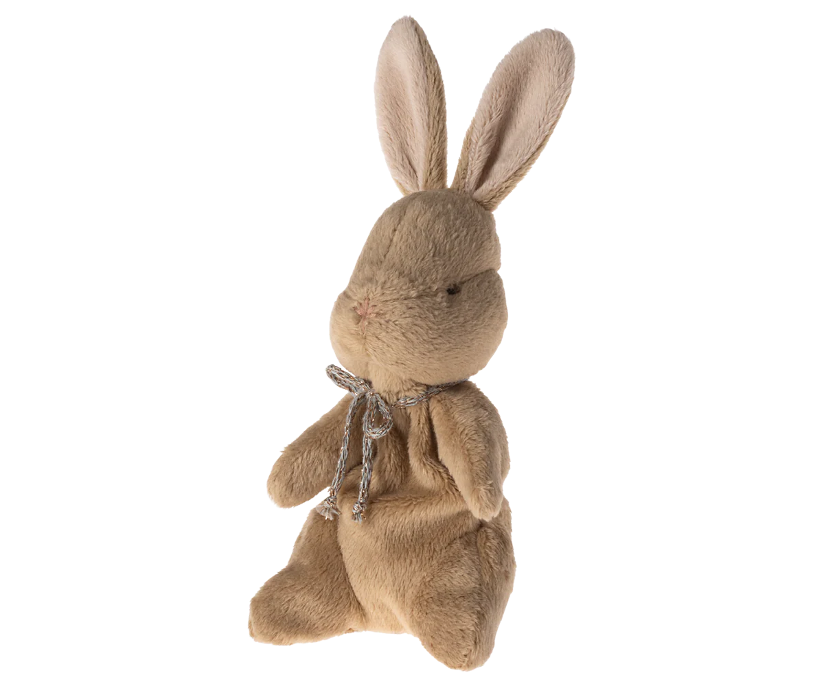My First Bunny in Brown