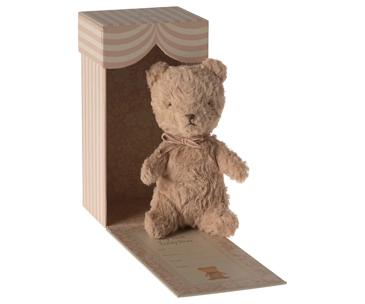 My First Teddy in Powder