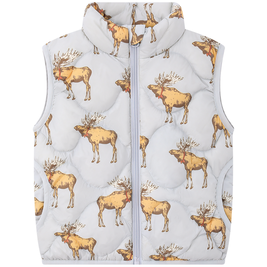 Lightweight Down Vest in Moose