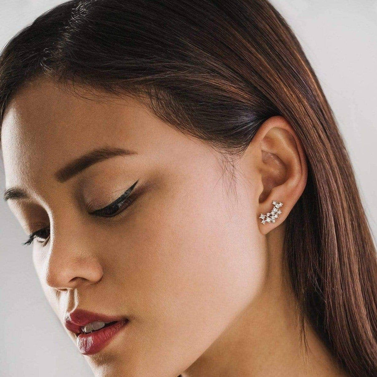 Stardust Climber Earrings in Silver