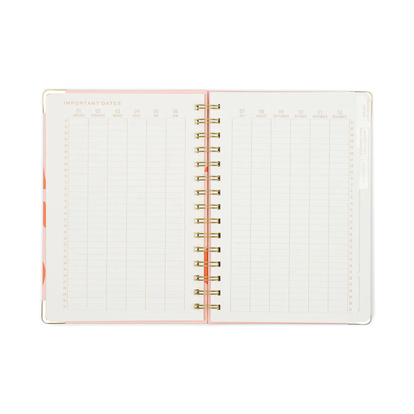 13 Month Perpetual Planner - Plans