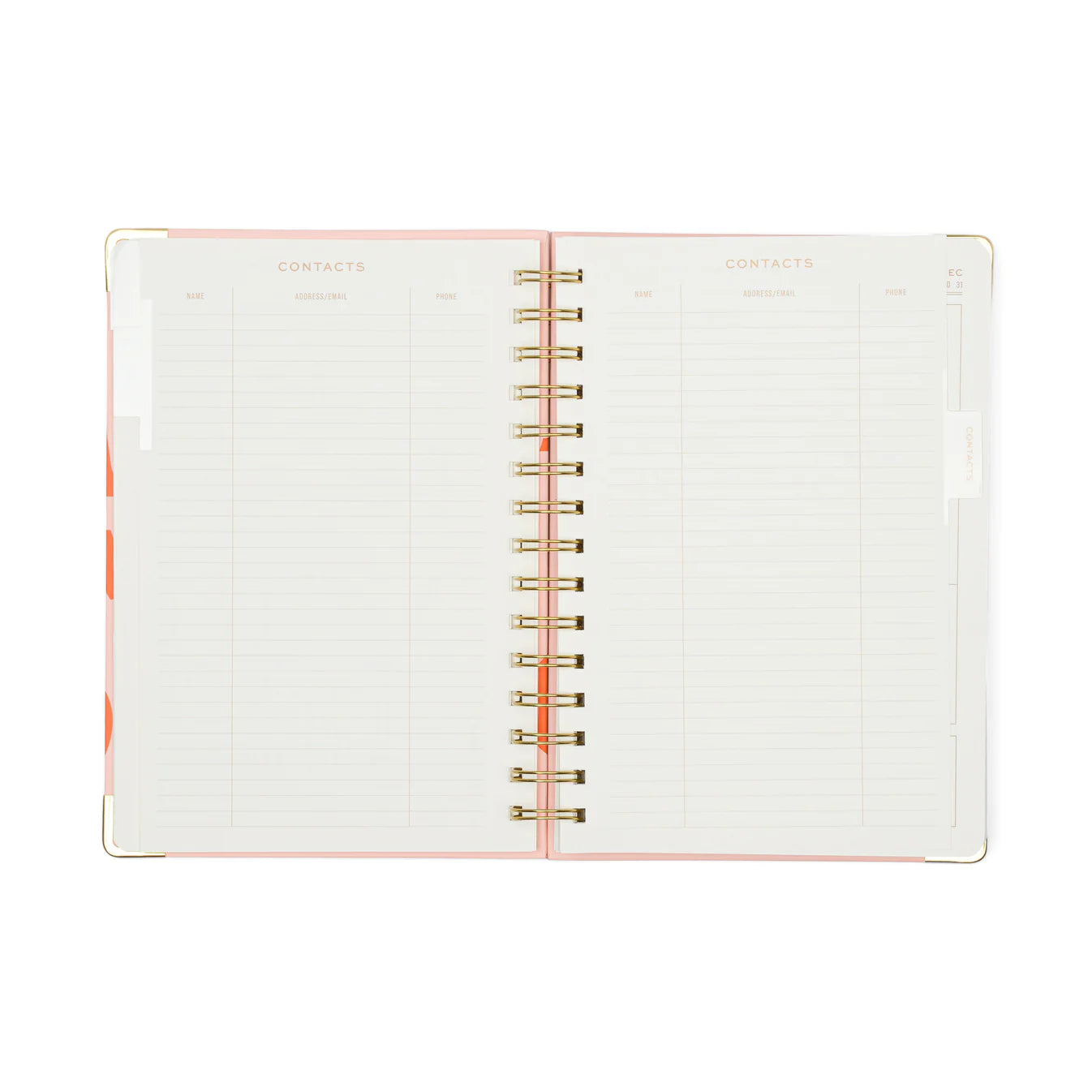 13 Month Perpetual Planner - Plans