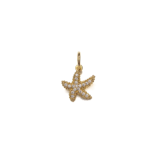 Starfish Charm