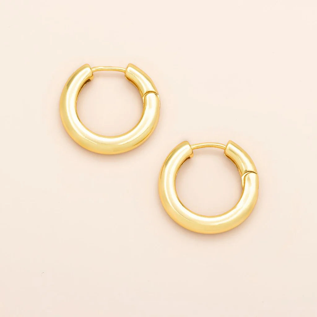 Refined Earring Collection - Medium Stellar Hoop in Gold
