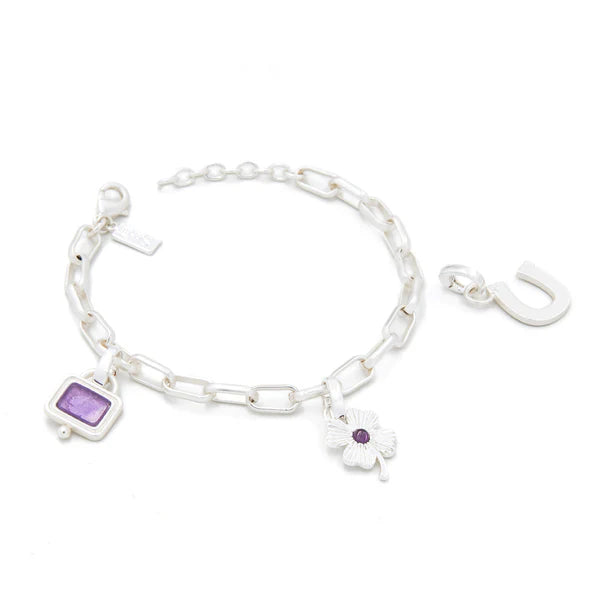 Interchangeable Charm Bracelet - Amethyst/Protection/Silver