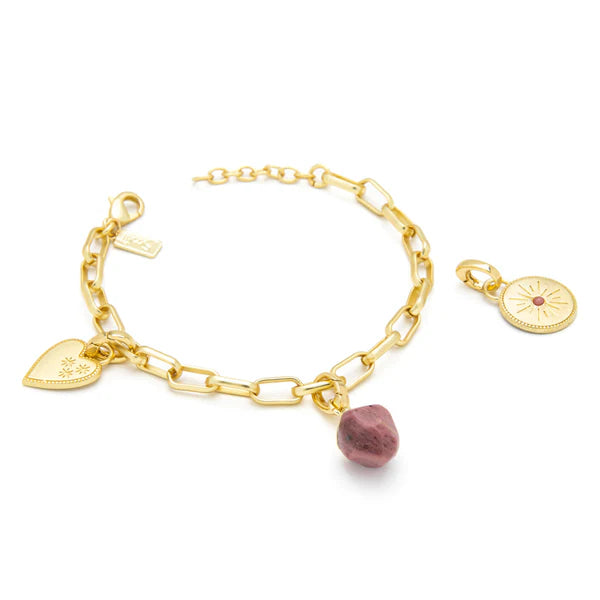 Interchangeable Charm Bracelet - Tourmaline/Healing/Gold