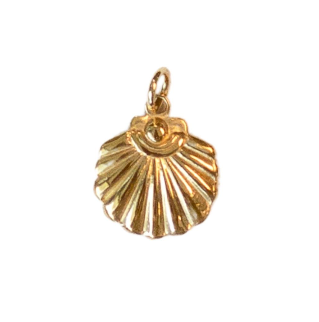 Clam Shell Charm