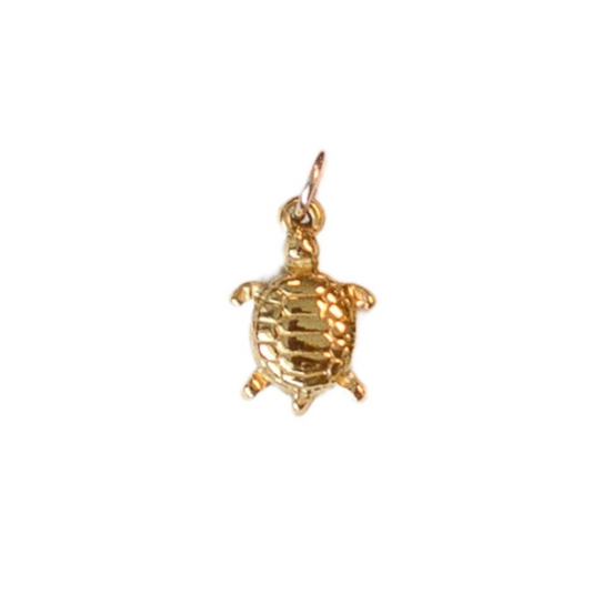 Turtle Charm