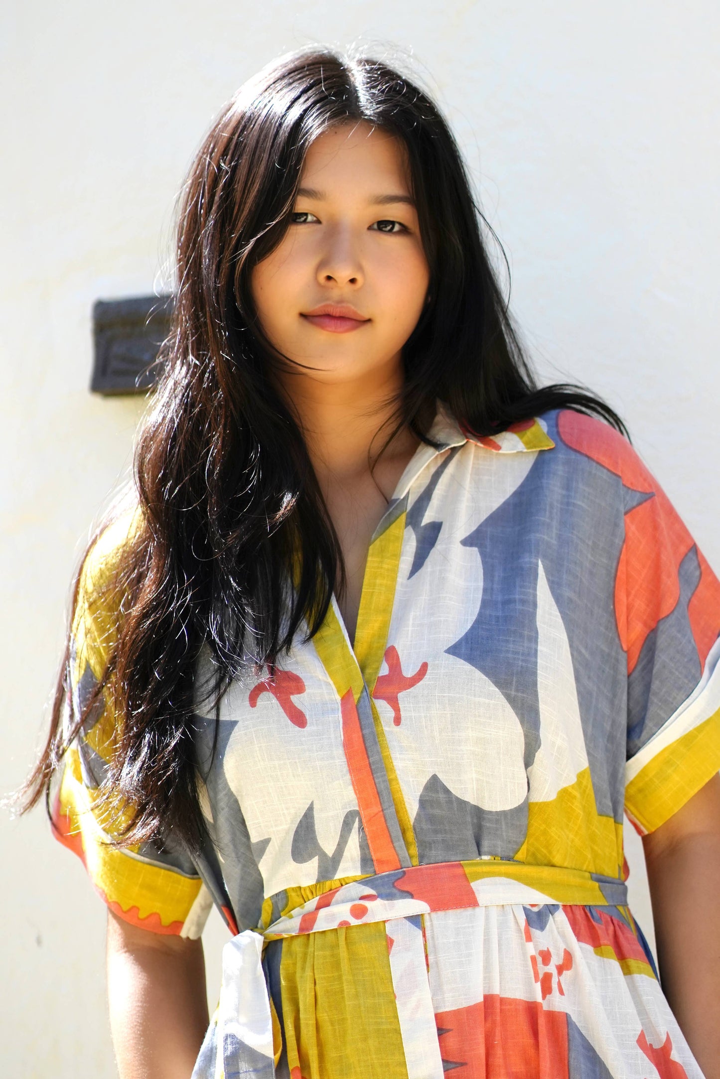 Brigitte Abstract Print Dress Multi