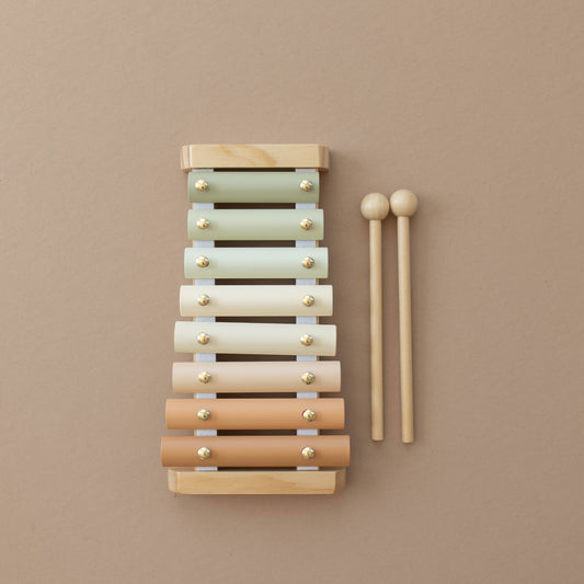 Neutral Colored Educational Xylophone Toy