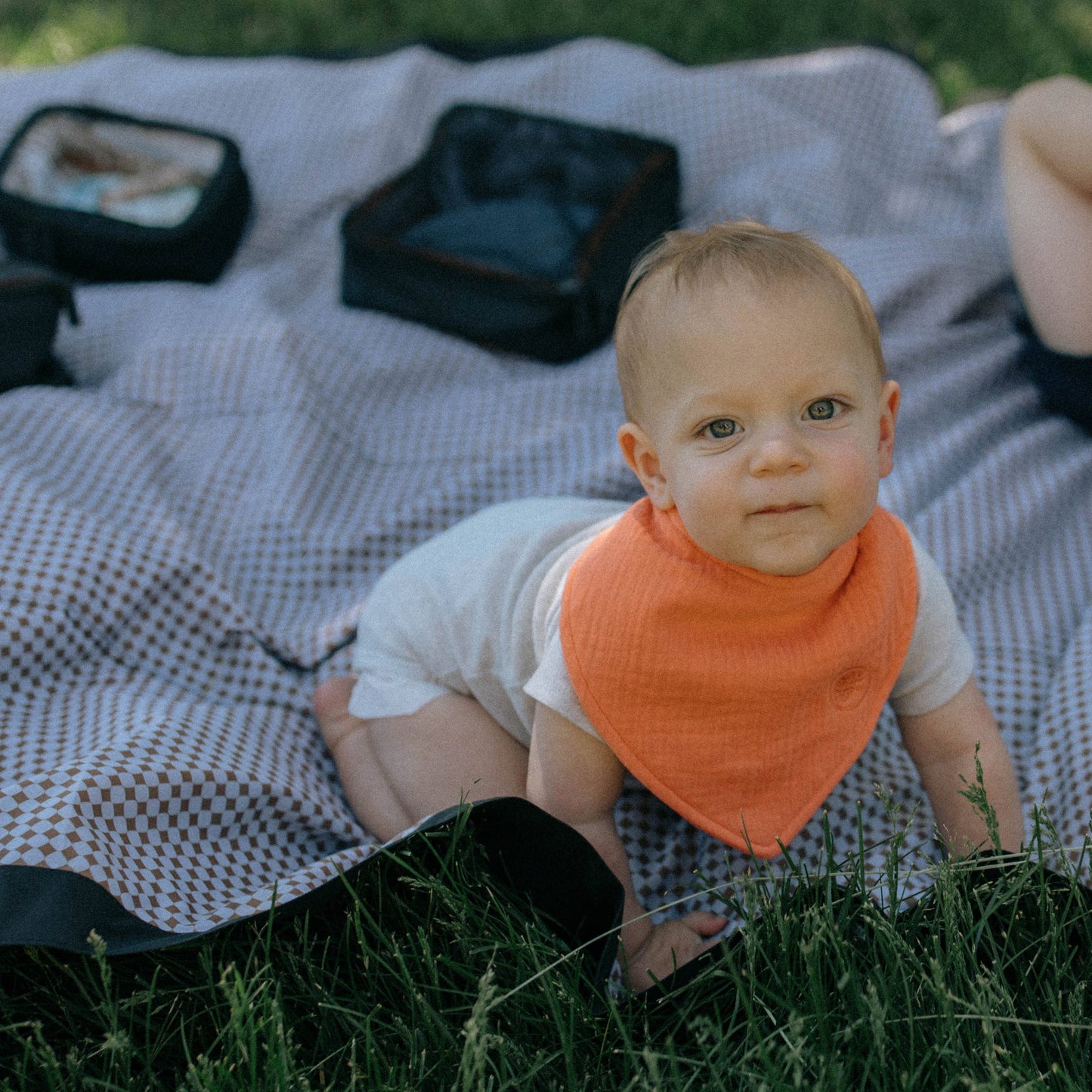 Estes Muslin Bandana Bibs Set