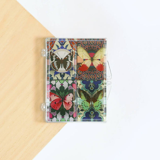 Butterfly Insect Garden Beautiful Colorful Mighty Magnet Set