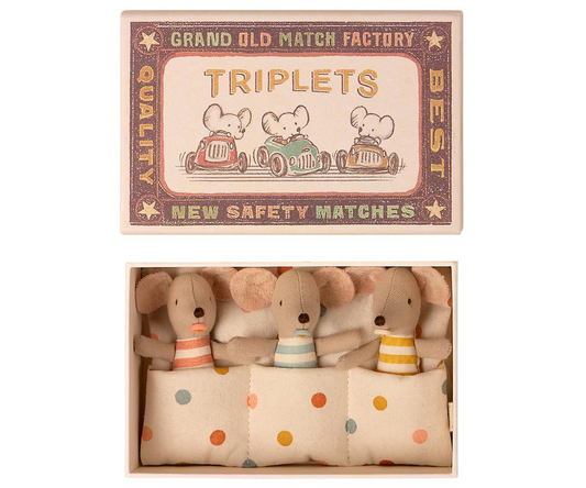 Triplets Baby Mice in Matchbox